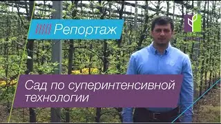 Репортаж из сада суперинтенсивной технологии