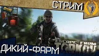 Фармим деньги и ресурсы за Дикого в Escape from Tarkov