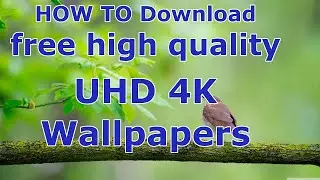 How to download free high quality UHD 4K desktop wallpapers