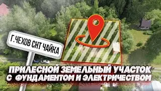 Прилесной земельный участок 12 соток с фундаментом l Чехов СНТ Чайка l Бытовка и электричество