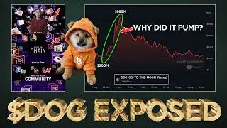 Exposing $DOG (Rune) First Pump, will it happen again? 🤔