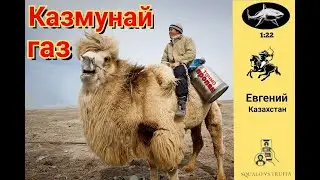 Телефонное мошенничество. Автор - Евгений