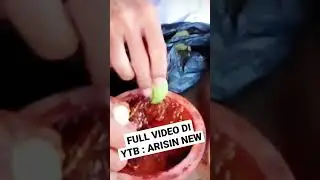 RUJAK BUAH BUAHAN HASIL ALAM PEDESAAN 