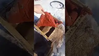 Весна чувствуется