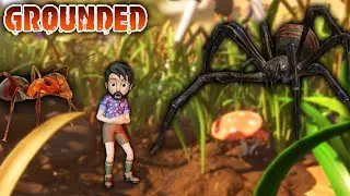 HONEY, I SHRUNK THINKNOODLES.. (Grounded)  | Fan Choice Friday