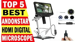 Top 5 Best Digital Microscopes In 2024
