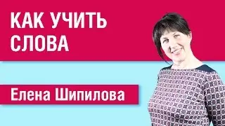 Как учить слова в иностранном языке - Елена Шипилова