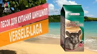 Песок для купания шиншилл | Обзор песок для купания шиншилл