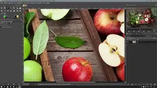 Gimp | Инструменты и способы выделения | Урок 2