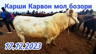 Карши Карвон мол бозори нархлари 17.12.2023