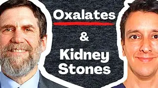 Oxalates & Kidney stones | Dr. David Goldfarb, MD