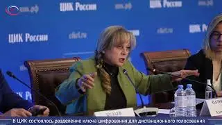 Элла Памфилова о наблюдении за электронным голосованием