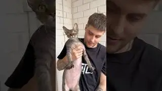 23 июня 2025 г.