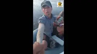 ВОТ ЕЩЁ ОДИН БРОКОНЬЕР НА ДАРЕЕ ЛОВИТ СЕТЯМИ РЫБУ #shortsyoutube #видеорыбалка