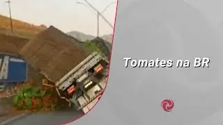 Caminhão carregado com tomates tomba na BR-381