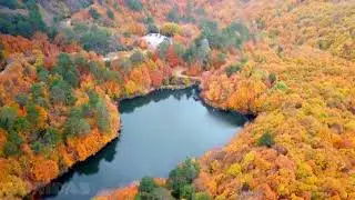 Sonbahar Terapisi-Autumn Therapy