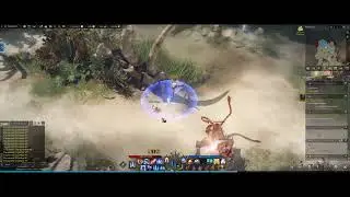 lost ark use the magick flow detector