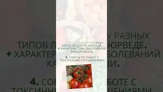 Курс по аюрведе, Очищение и обновление