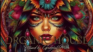 Organic House Mix 2025 mixed by Gabriel Miko