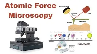 Atomic Force Microscopy: A Beginner's Guide || AFM