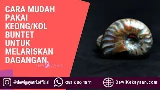 Begini Cara Mendapatkan Khasiat Ampuh Keong Buntet untuk Pelarisan Jualan