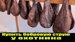 Купить бобровую струю у охотника.Бобровая струя что такое От каких болезней, что лечит, применение.