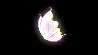 side butterfly black screen effect video, No copyright - free video, NP Creative