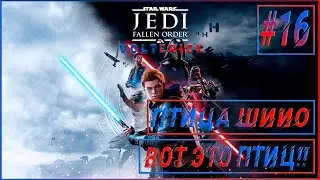 Прохождение Star Wars Jedi  Fallen Order #16 ПТИЦА ШИИО!
