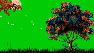 Flying Bird Green Screen Animation | Beautiful Evening Green Screen Video