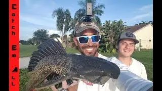 SURVIVAL Catch and Cook! DISGUSTING SUCKERFISH Pleco