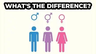 Gender VS Sex (What’s The Difference?)