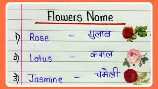 20 Flowers Name in English and Hindi | फूलों के नाम हिन्दी और इंग्लिश में | Write Flower name 20