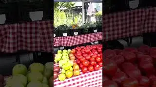 DC Farmers Market #shorts