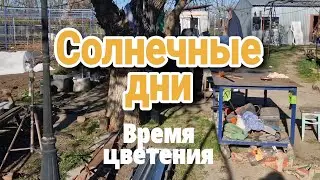 Солнечные дни // Время цветения // Замена радиатора // ремонты