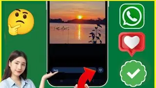 Как исправить неотображаемую кнопку «Нравится» для статуса WhatsApp