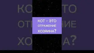 Прикол с котами