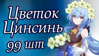 Все цветки Цинсинь в Ли Юэ, Где Найти?, Маршрут фарма для Гань Юй, Сяо, Шэнь Хэ | Genshin Impact
