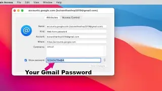 How to show gmail password on MAC computer