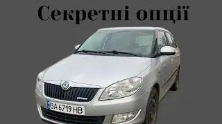 Секретні опції fabia 2