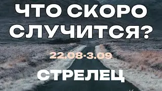 СТРЕЛЕЦ 🍀 Прогноз на неделю (28.08-3.09 2023). Расклад от ТАТЬЯНЫ КЛЕВЕР. Клевер таро.