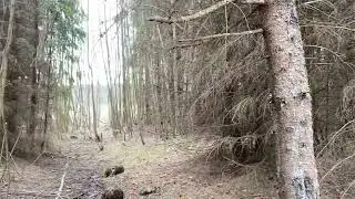 Небольшая прогулка вдоль реки.