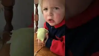 Маленький гурман. А вы так же кушаете лук?