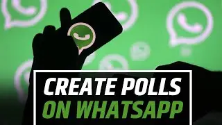 Create Polls On WhatsApp And Share With Friends