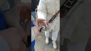 Хантымансийцы зажгли «Свечу памяти» в День солидарности в борьбе с терроризмом.