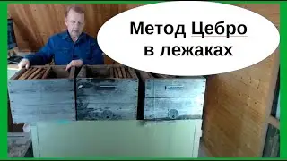 Метод пчеловодства Цебро в Владимирских ульях-лежаках Якимова