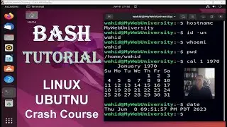 BASH Tutorial (LINUX UBUTNU Crash Course)