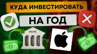 Куда инвестировать НА 1 ГОД?