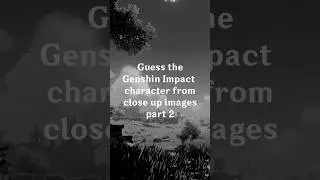 Guess the character from close up images part 2 | Genshin Impact