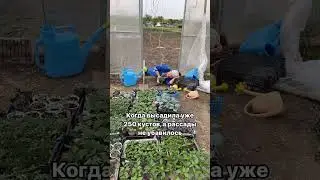 Все дачники на майские💯😂 