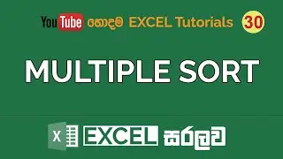 Multiple Level Sorting | Excel Sinhala Tutorials - 30